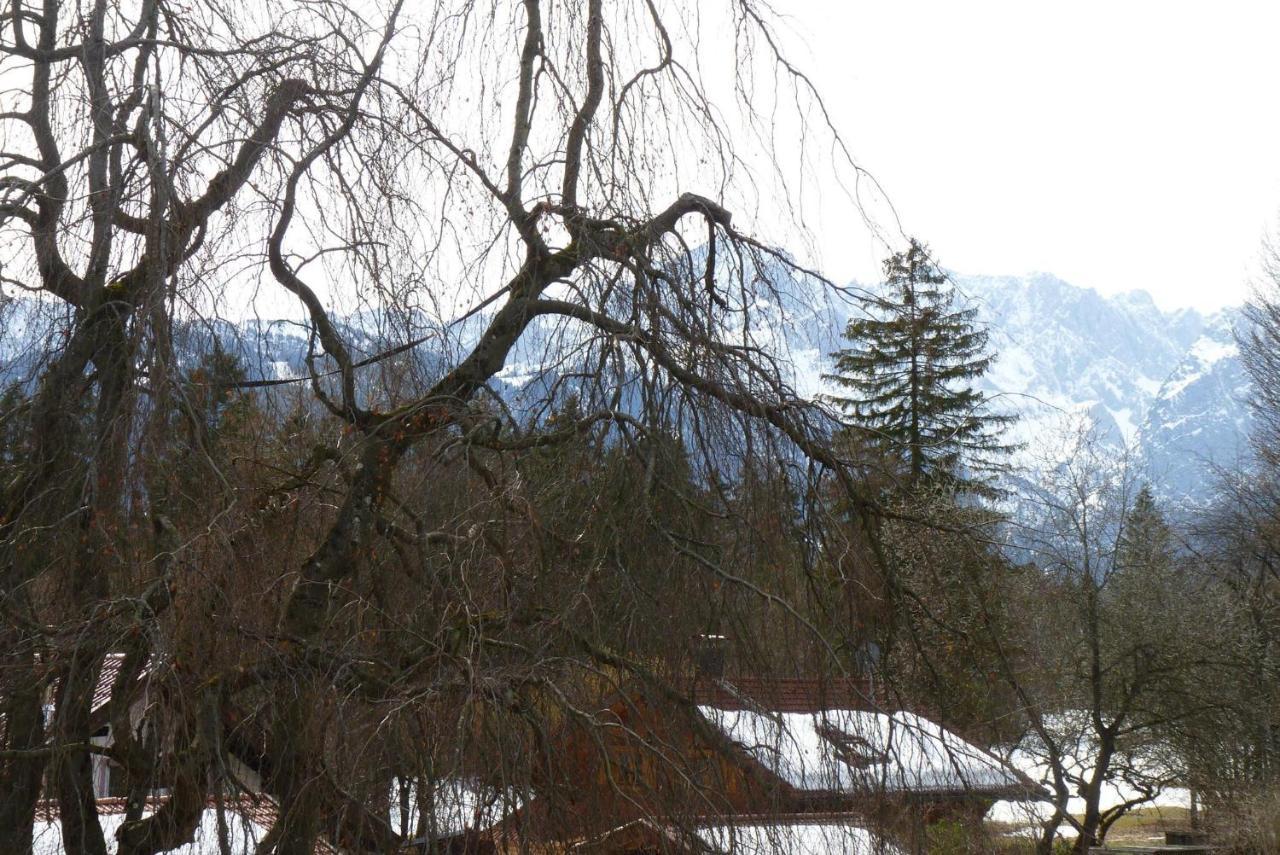 Panoramahaus Hopfner Naehe Zugspitze Und Eibsee *